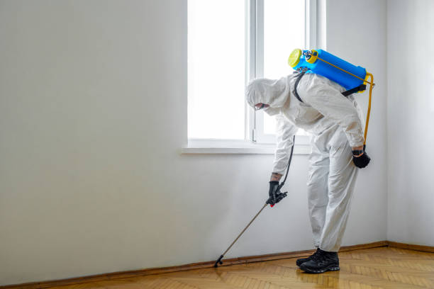 Best Local Pest Control Services  in Kenmore, WA