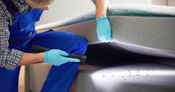 Best Bed Bug Extermination  in Kenmore, WA