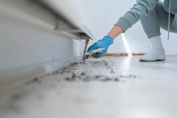 Pest Control Cost in Kenmore, WA